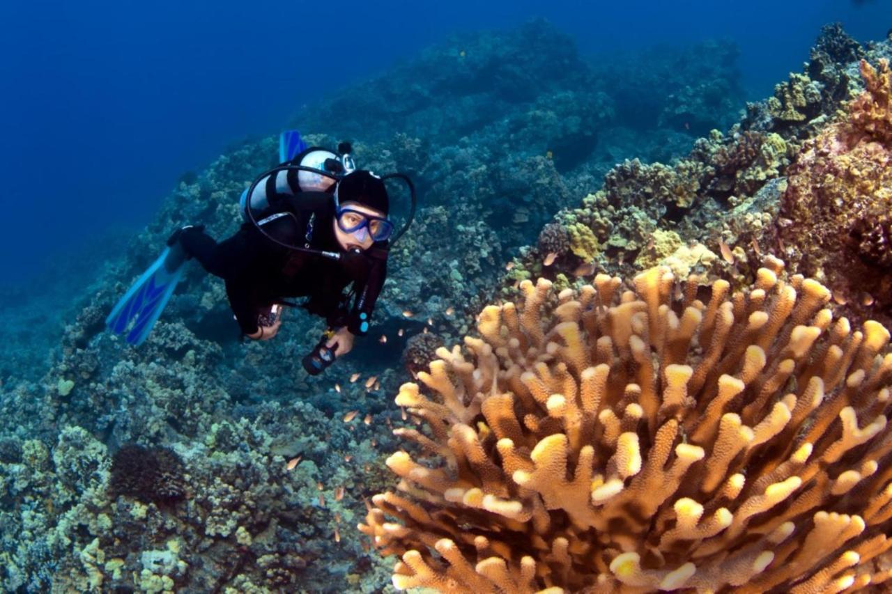 شقة Kaleialoha 401 Kahana المظهر الخارجي الصورة